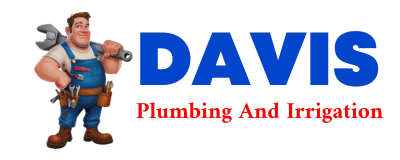 Trusted plumber in DACULA